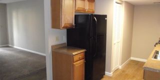 5293 Vineland Road Gallery 11