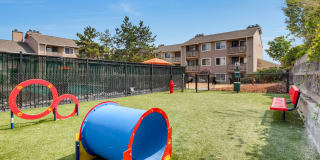 1202 Pearl Gallery 37