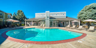 Bristle Pointe Gallery 31