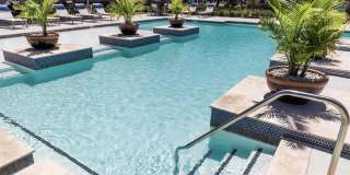 The Cove Apartments Gallery 26
