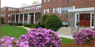 Executive Apartments Gallery 2