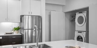 Solis at Petrosa Gallery 5