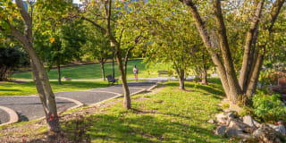 The Dalton Gallery 45