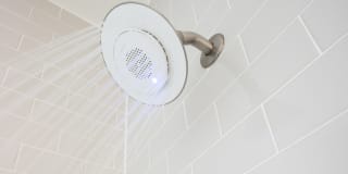 Magnolia off Henderson Gallery 13