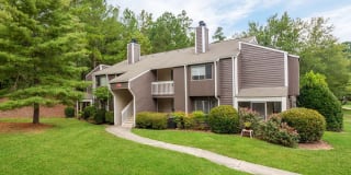 The Forest Gallery 17