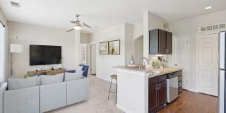 Austin Springs Gallery 13