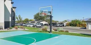 Carrington Square Gallery 39