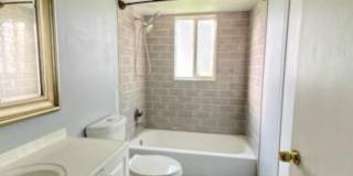 11881 Sturbridge Ln Gallery 19