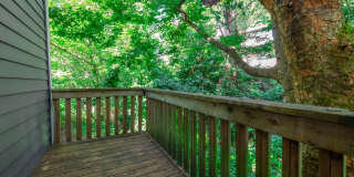 3325GARD Gallery 17