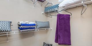 RIZE at Winter Springs Gallery 50