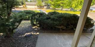 Bright 3 Bedroom 1 Bath in NW Corvallis ~ Small Dogs Welcome! Gallery 25