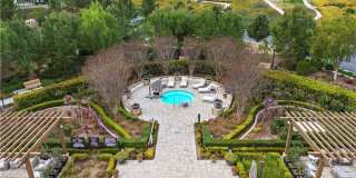 102 Orchid Gallery 22
