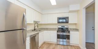 Chestnut Hill North Apartments Gallery 2