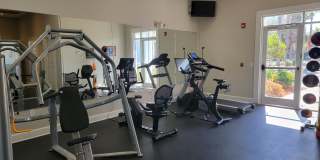 Edens Edge Gallery 15