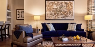 Evolution at Towne Centre Gallery 28