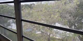 2202 Lucaya Bend Gallery 21