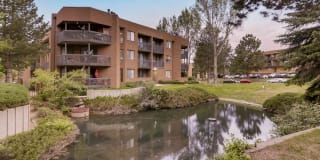 Alta Springs Gallery 13