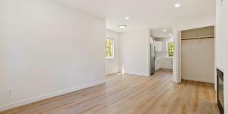 Newly renovated downstairs 1 bedroom 1 bath. Gallery 7
