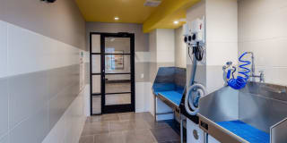 Avalon Piscataway Avalon Piscataway Gallery 24