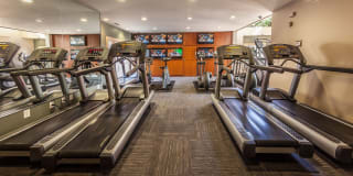 River Crossing Gallery 13