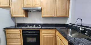 Beautiful Brisbane condo Gallery 7