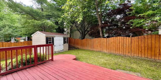 7827 BOLD LION Lane Gallery 27