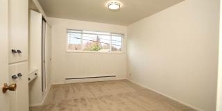 Angeline Gallery 17