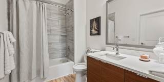 Luna at Viera Gallery 32