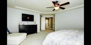 23421 SPICE BUSH Terrace Gallery 19