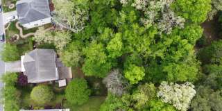 508 Ashburn Lane Gallery 28