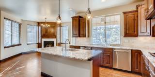 1696 Avenida Del Sol, Castle Rock, CO Gallery 9