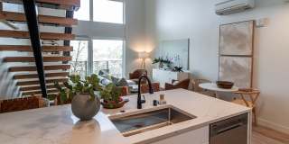 Luella Gallery 6