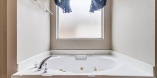 2317 Tropical Wind - 3 Bed/2 Bath - $1795month Gallery 32
