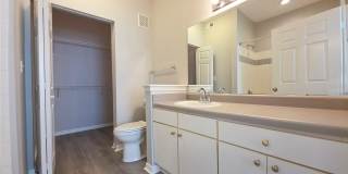 9018 LAKE CHASE ISLAND Way 9018 LAKE CHASE ISLAND Way Gallery 15