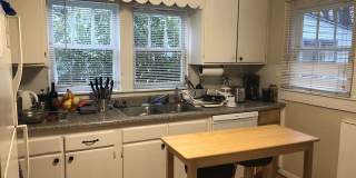 1005 Hampton Street Gallery 15