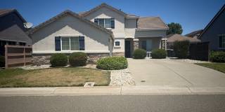 Peterson Ranch Home Coming Soon! Gallery 1