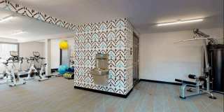 The Lily The Lily Gallery 15