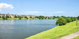 Cypress Lake Apartments Gallery 8