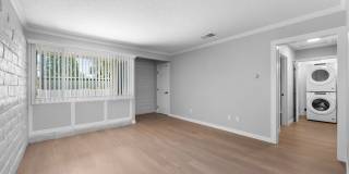 The Pines Apartments Gallery 32