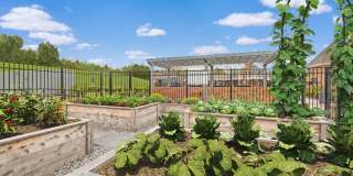 Provenza at Park Place Gallery 6