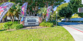 The Landing at Long Beach Gallery 8