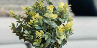 Abendroth Gallery 39