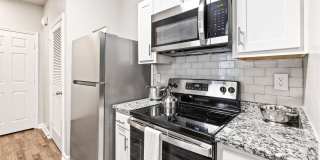 Olympus Fenwick Gallery 3