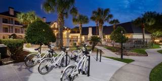 City Park in the Heights Gallery 15