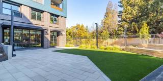 Sevens Luxury Apartment Gallery 190