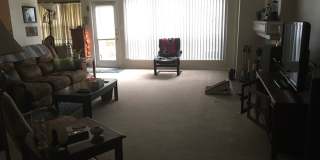 Welcome home to 2805 Berry Way! Gallery 7