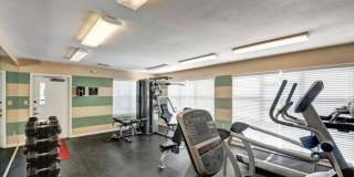 Mallside Forest Gallery 13