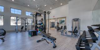 Tacara at Stone Oak Gallery 23