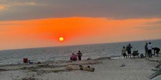 25 Miami Avenue Gallery 34