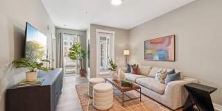 The Fitzroy Gallery 8